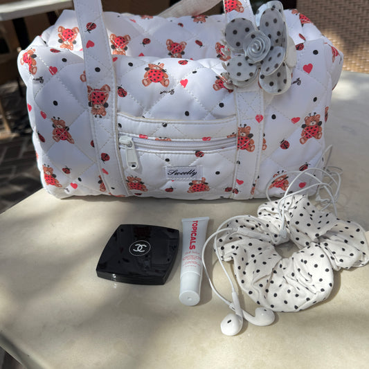 lovely ladybug handbag